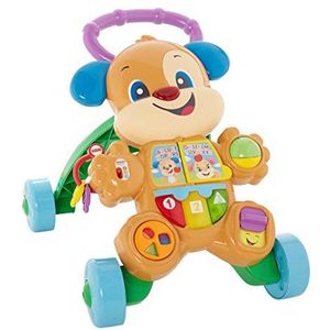 Fisher Price Everything Baby Primi Passi elektronische hond en Vai 6-36 maanden, FRC84