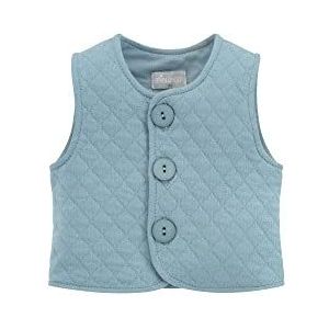 Pinokio Baby Vest Slow Life, 70% Katoen 30% Polyester, Blauw, Unisex Gr. 62-86 (80), turquoise, 80 cm