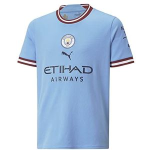PUMA - Manchester City Sportshirt - Bordeaux - 100% Gerecycled Polyester