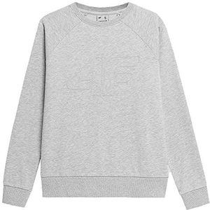 4F Sweatshirt F370 Kleur Cold Light Grey Melange Maat XXL voor dames, Cold Light Grey Melange, XXL