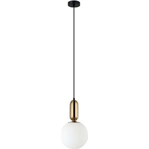 Italux Aldeva Moderne hangende plafondlamp met 1 lichtbol, E27