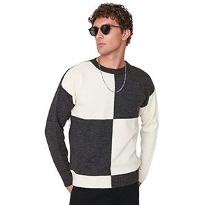 Trendyol Heren Crew Neck Colorblock Regular Sweater Sweater, Ecru, L, Ecru, L