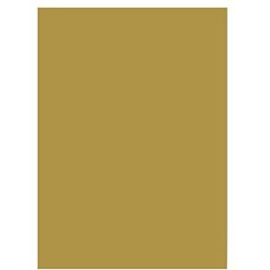 folia 6365 - gekleurd papier goud mat, DIN A3, 130 g/m², 50 vellen - voor het knutselen en creatief vormgeven van kaarten, raamafbeeldingen en voor scrapbooking