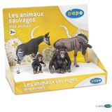 Papo -Handgeschilderde - Figuurtjes -Wild Dierenrijk -Display doos wilde dieren 1 (4 fig)-80000-Verzamelbaar-Voor kinderen - Geschikt voor jongens en meisjes - Vanaf 3 jaar