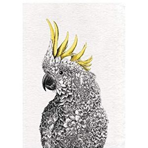 Maxwell & Williams Marini Ferlazzo Vogels, Theedoek Bedrukt met Grote Geelkuifkaketoe , Katoenen Theedoek, Zwart/Wit, 50 x 70 Centimeter