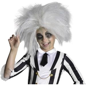 Rubie 's officiële Beetlejuice pruik, kinderkostuum - één maat