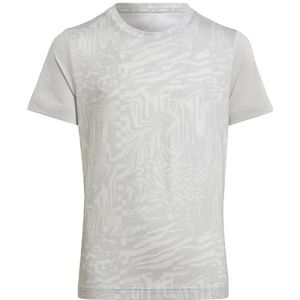 adidas T-shirt voor meisjes (korte mouw), Wit/Grijs Twee/Reflecterend Zilver, 13-14 jaar