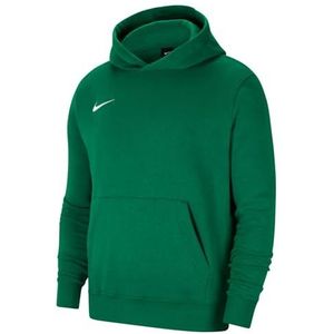 Nike Uniseks-Kind Sweater Met Capuchon Y Nk Flc Park20 Po Hoodie, Pine Green/White, CW6896-302, XL