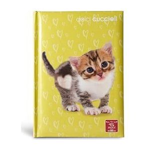 Pigna, Dolci Cuccioli dagboek, groot, 12 maanden, 320 pagina's, ideaal voor school of als persoonlijke agenda, omslag, kittens, geel