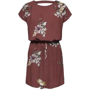 ONLMARIANA MYRINA Life Dress PTM, Apple Butter/Aop: 495 Bea Blooming, 34