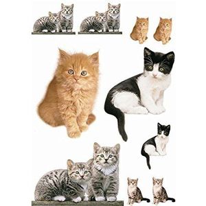 Komar - Deco-Sticker KITTY - 50 x 70 cm - Muurtattoo, Muursticker, Muursticker, Muursticker, Muurtattoo, Katten, Huiskatten, dieren, Baby - 17010h