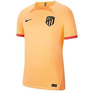 NIKE Seizoen 2022/23, officieel heren-T-shirt