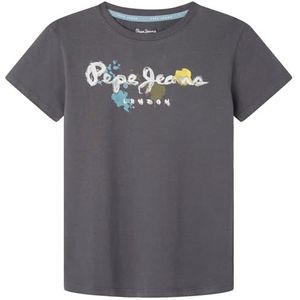 Pepe Jeans Redell T-shirt voor kinderen, grijs (Phantom Grey), 10 jaar, grijs (fantom grey), 10 jaar