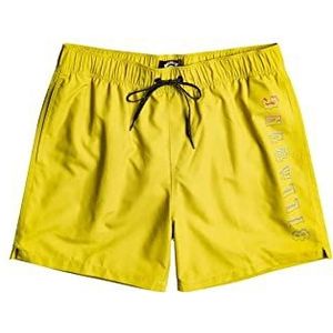 BILLABONG All Day Heritage LB Zwembroek voor heren, 1 stuk