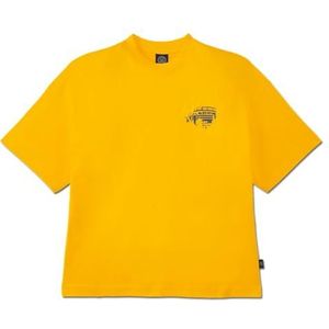 Borussia Dortmund Unisex BVB Stadion Tee Geel T-Shirt, geel, M