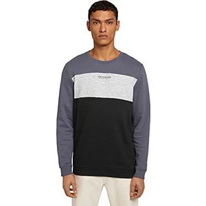 TOM TAILOR Denim Uomini Sweatshirt met print 1029020, 10306 - Blueish Grey, XS