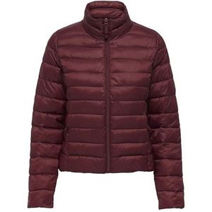ONLY - ONLTAHIA - Gewatteerde Jas - Cyclaam
