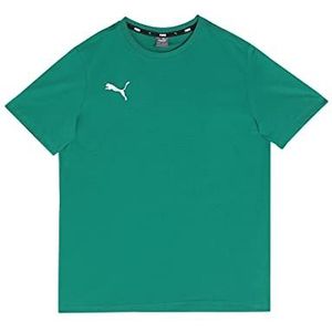 PUMA Unisex Kinder, teamGOAL 23 Casuals Tee Jr T-shirt, Pepper Green, 164