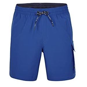 O'NEILL All Day 17"" Hybrid Shorts Shorts, 15045 Princess Blue, Regular voor heren, 15045 Princess Blue