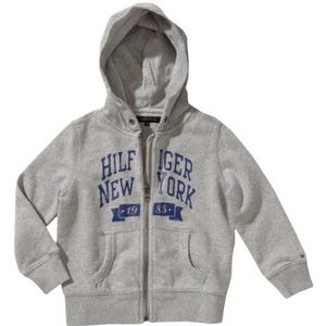 Tommy Hilfiger Sweatshirt voor jongens, grijs (004 Grey Heather)., 116 cm(6 Jaar)