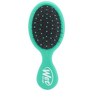 Wet Brush Squirt Detangling Brush, Amazon-Exclusive Aqua - Mini Detangler Brush, No Tangle Ultra-Zachte IntelliFlex Haren, Natte & Droog Styling Haarborstel voor Vrouwen & Mannen, Alle Haartypes