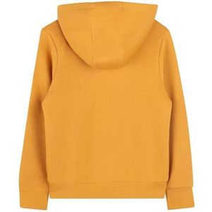 Timberland T60383 Trui voor jongens, Beige/Zwart, 5 Jaren