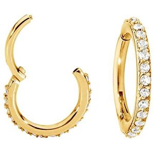 365 SLEEPERS 316L Chirurgisch staal Unisex 16G Gem Scharnierende Segment Ring Helix Tragus Septum Neus Hoop Earring Body Piercing Sieraden 7mm - 14mm