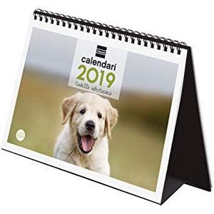 Finocam Desk Kalender 2019