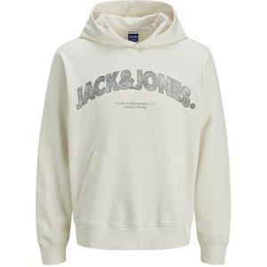 Jack & Jones - JORALMERIA SWEAT HOOD PLS - Hoodie - Antique White - Met Capuchon