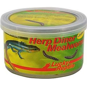 Lucky Reptile Herp Diner Mealworms 35 g, meelwormen met calciumadditief voor alle insectenetende huisdieren