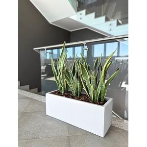 Kloris Bloembak, rechthoekig, modern, van polyethyleen, 60 x 30 cm, hoogte 30 cm, wit, hoge kwaliteit, gemaakt in Italië
