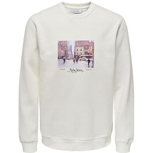 ONLY & SONS Onsrobert Reg Photo Crew Neck SWT Vd Sweatshirt voor heren, cloud dancer, L