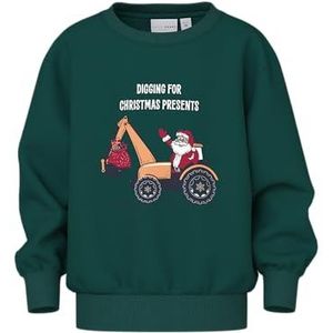 NAME IT Nmmvismas Ls Nreg Sweat Bru, Botanical Garden, 110