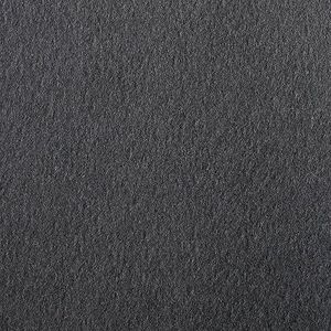 Clairefontaine 90870C Tekenpapier Etival (DIN A4, 21 x 29,7 cm, 160 g, ideaal voor droogtechnieken, 5 vellen) zwart