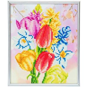 Crystal Art CAM-9 Picture Kits met Silver Frame, Multicolor