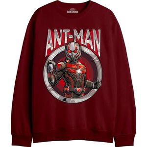 Marvel Antman - Antman Circle MEANTMMSW012 sweatshirt voor heren, bordeauxrood, maat XL, Bourgondië, XL