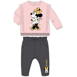 Disney 2-delige set van sweatshirt + broek voor baby's (3 tot 23 maanden), Minnie zacht en warm: sweatshirt + jogger, gemengd patroon, voor meisjes en jongens, model DIS MF 5112B592-S1-12M