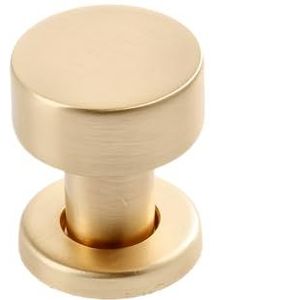 GTV - RING knop - geborsteld staal - ringknop goud geborsteld - meubelknoppen kast knoppen roestvrij staal geborsteld keukenknoppen deurknop meubelknoppen rond