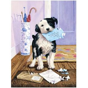 Pracht Creatives Hobby Royal & Langnickel - Painting by Numbers Junior ""Hond met post"", incl. verf en penselen, voor volwassenen en kinderen vanaf 8 jaar