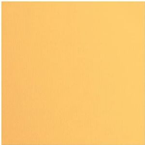 Vaessen Creative Florence Cardstock papier, oranje, 216 gram/m², vierkant, 30,5 x 30,5 cm, 20 stuks, textuur, voor scrapbooking, kaarten maken, ponsen en ander papierknutselwerk