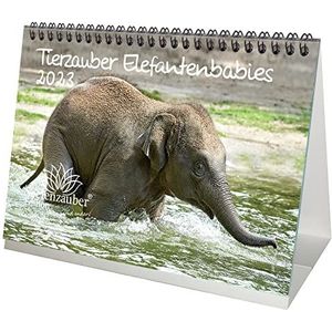Olifantenmagie baby's DIN A5 tafelkalender voor 2023 olifantenbaby's - zielenzauber