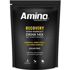 Amino Recovery - EAA & BCAA Intra Workout Poeder - Amino Acid Recovery Drink - 5000 mg EAA Amino Acids & BCAA Poeder - Bescherm Spier & Aid Recovery - Suikervrij & Veganistisch (Rode Bessen, 44