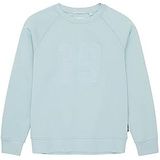 TOM TAILOR Jongens sweatshirt met opschrift, 30463-Dusty Mint Blue, 152 cm