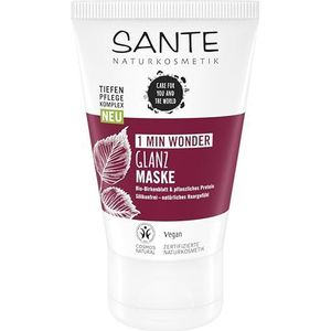 SANTE Naturkosmetik 3 minuten glanzend masker van biologisch berkenblad en plantaardige eiwitten, intensieve haarkuur, geeft glans en soepelheid, verbeterde kambaarheid, veganistisch, 100 ml