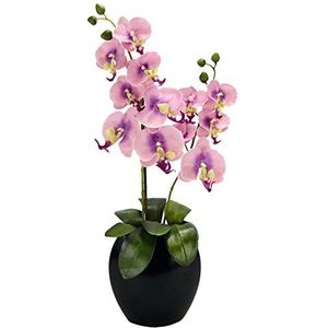 orchidee in vaas