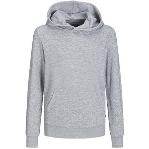 Jack & Jones Junior Trui Jjebradley Sweat Hood Noos Jnr 12250531 Light Grey Melange Mannen 0