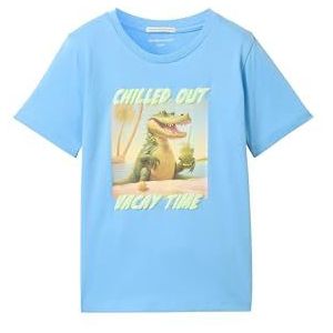 TOM TAILOR T-shirt voor jongens, 22501 - Japanse hemel, 92/98 cm