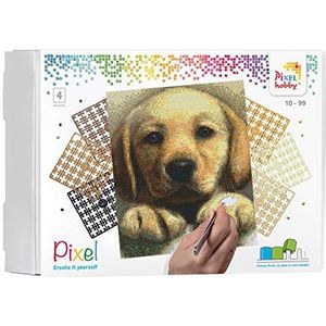 Pixel P090045 Mozaïek geschenkdoos hond voor kinderen, pixelafbeelding ca. 20,3 x 25,4 cm groot, eenvoudig insteeksysteem met steentjes van bioplastic, zonder strijken en lijmen