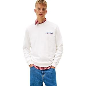 Tommy Jeans Heren TJM REG ENTRY DNA PLAY CREW EXT DM0DM22377 Pullover Sweatshirt, WIT (Ecru), S, Wit (Ecru), S