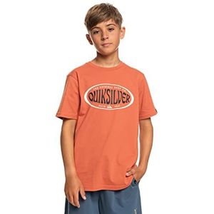 Quiksilver T-shirt voor jongens, bruin XS/8